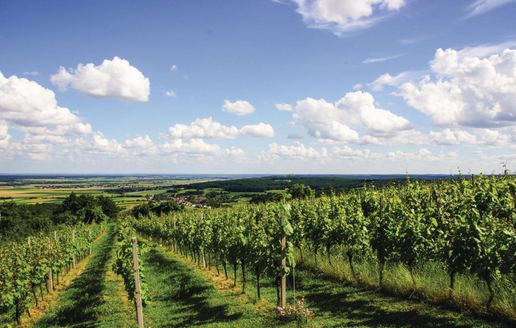 Kellerstoeckl Weinblick I Und II Villa Csejke Kültér fotó