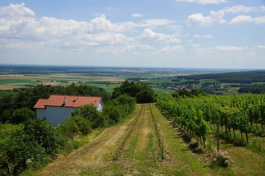 Kellerstoeckl Weinblick I Und II Villa Csejke Kültér fotó